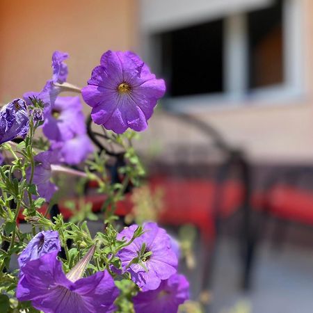Apartment Sanjo Mostar Ngoại thất bức ảnh