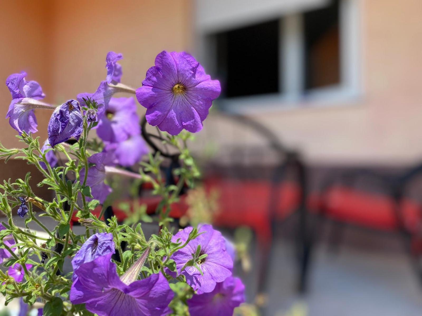 Apartment Sanjo Mostar Ngoại thất bức ảnh